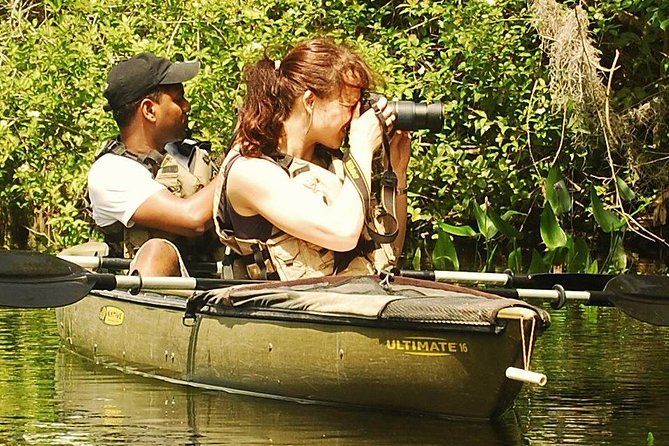 3 Hour Guided Mangrove Tunnel Kayak Eco Tour - Additional Information