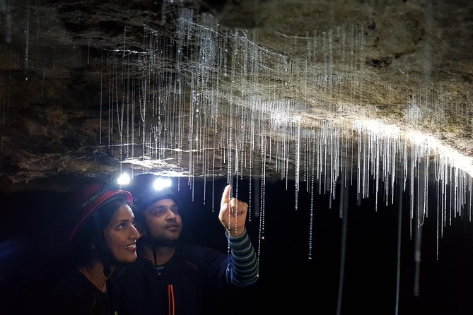 3-Hour Private Photography Tour in Waitomo Caves - Traveler Reviews