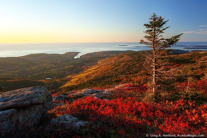 3 Hour Private Tour: Explore All the Top Spots of Acadia! - Booking Details