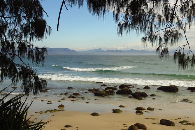 3-Hour Small-Group Byron Bay Tour - Recommended Attire and Essentials