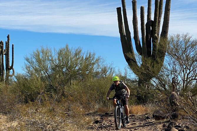 3 Hour Sonoran Desert Private Guided Mountain Bike Tour - Participant Requirements and Accessibility