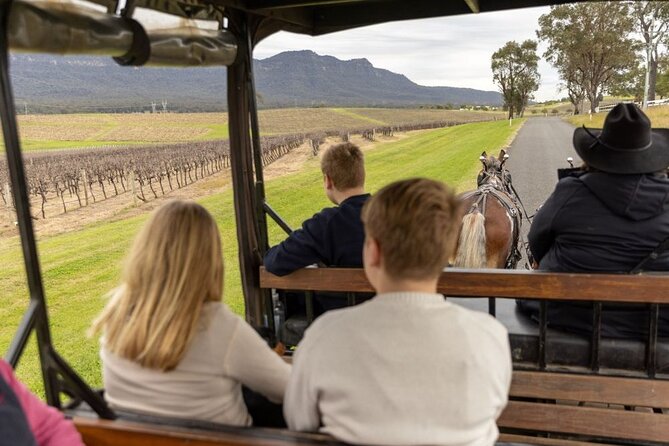 3- Hour Wine and Harvest the Hunter Horse Tour in Pokolbin - Wine Tasting Experience