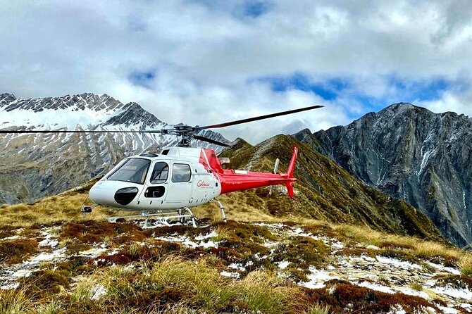35-Minute Alpine Scenic Flight From Queenstown - Weight Limit and Confirmation