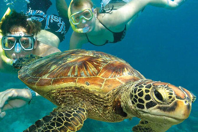 4-Day Cairns With Great Barrier Reef and Daintree Rainforest - Cancellation and Refund Policy