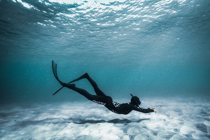 4-Hour Freediving Taster Experience at Shelly Beach, Manly - What To Expect During Freediving