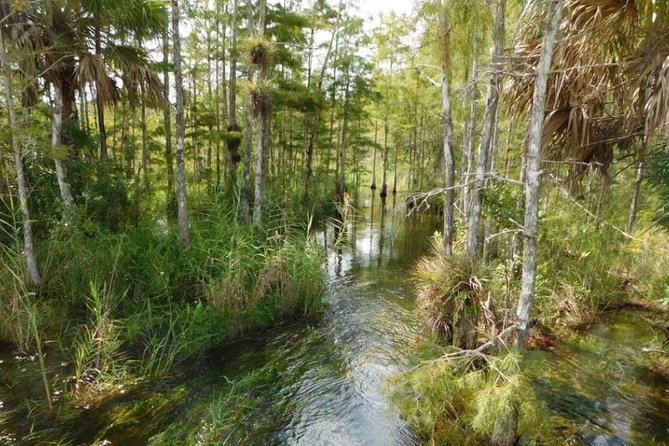 4-Hour Swamp Buggy Adventure Tour in Florida - Booking and Cancellation Policy