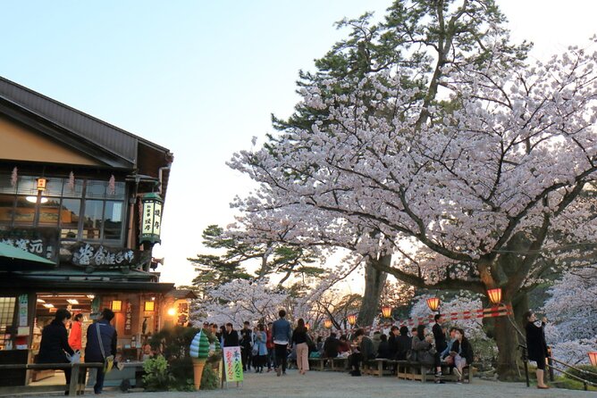 4 Hour Unique Kanazawa Cherry Blossom Sakura Private Experience - Booking Details