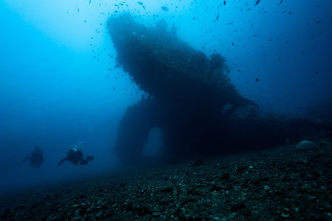 5 Fun Dives in Tulamben (For Certified Divers) - Discover Famous Diving Sites - Explore the Coral Garden