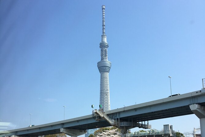6-Hour-Tour Tokyo Highlights - Group Size and Pricing