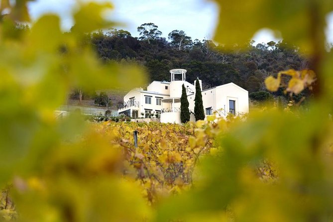 7- 8 Hour StelaVino Guided Wine Tours From Hobart, Tasmania - Important Details