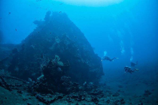 7 Fun Dives in Tulamben (For Certified Divers) - Premium Value Package - Dive 2: Boga Shipwreck Exploration