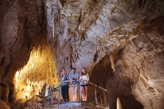 75-Minute Guided Ruakuri Cave Tour Waitomo - Booking and Cancellation Policies