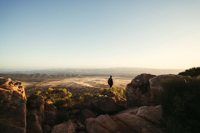 8 Day Adelaide to Uluru Adventure and Cultural Tour - Itinerary Highlights