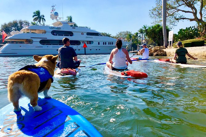 90-Minute SUP Tour of Las Olas Canals With a Doggy Guide  - Fort Lauderdale - What to Bring