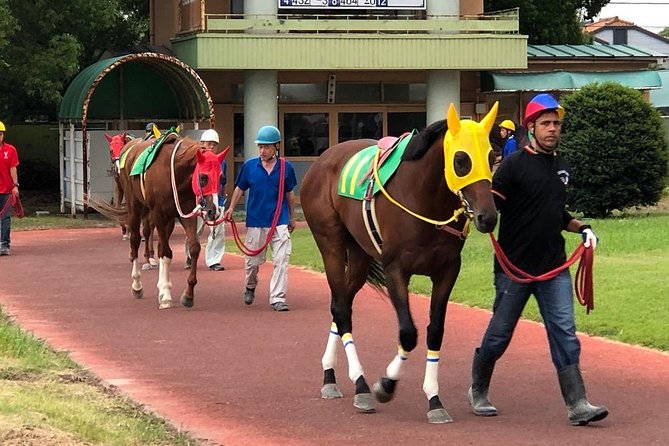 A Tour to Enjoy Japanese Official Gambling (Horse Racing, Bicycle Racing, Pachinko) - Cultural Immersion Experience