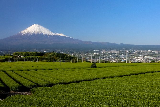 A Trip to Enjoy Subsoil Water and Nature Behind Mt. Fuji - Nature Trails and Hiking Routes