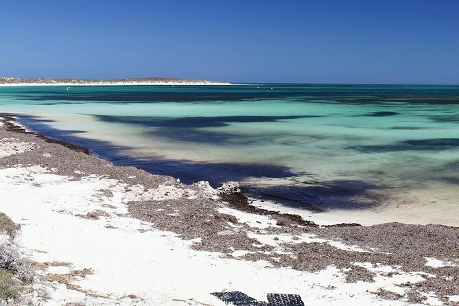Abrolhos Island Scenic Flight And Snorkel Adventure From Perth - Scenic Flight Experience