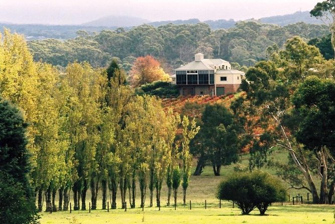 Adelaide Hills Full Day Winery Tour With Tastings - Scenic Mount Lofty Summit Visit