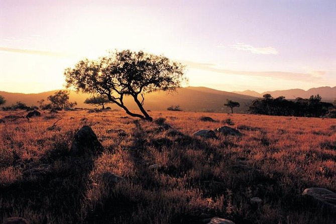 Adelaide to Coober Pedy 7-Day Small Group 4WD Eco Safari - Accommodations & Meals