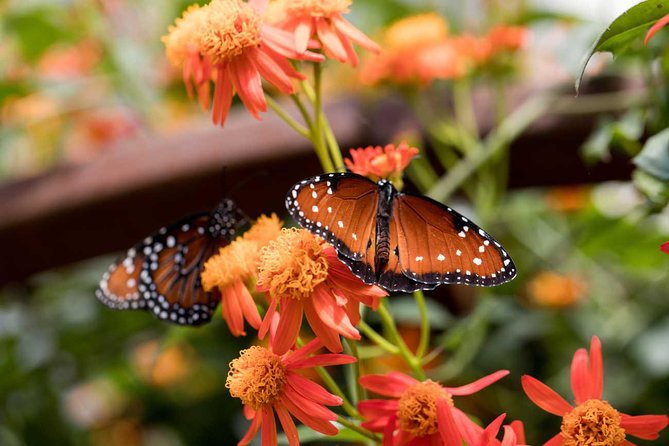 Admission: Natural History Museum of Los Angeles County - Diverse Exhibits and Displays