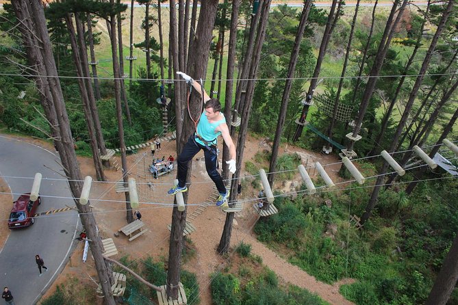 Adrenalin Forest Obstacle Course in Christchurch - Inclusions and Requirements