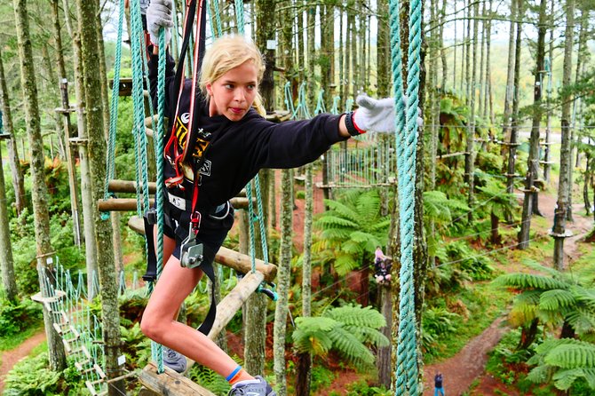 Adrenalin Forest Obstacle Course in Wellington - Course Overview and Features