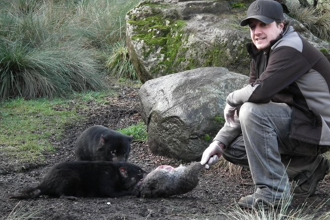After Dark Tasmanian Devil Feeding Tour at Cradle Mountain - Inclusions
