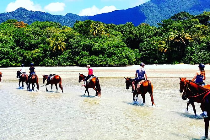 Afternoon Beach Horse Ride in Cape Tribulation - Pickup Service