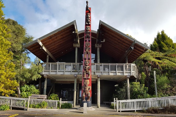 Afternoon Piha Beach and Rainforest Tour From Auckland - Guided Rainforest Walk