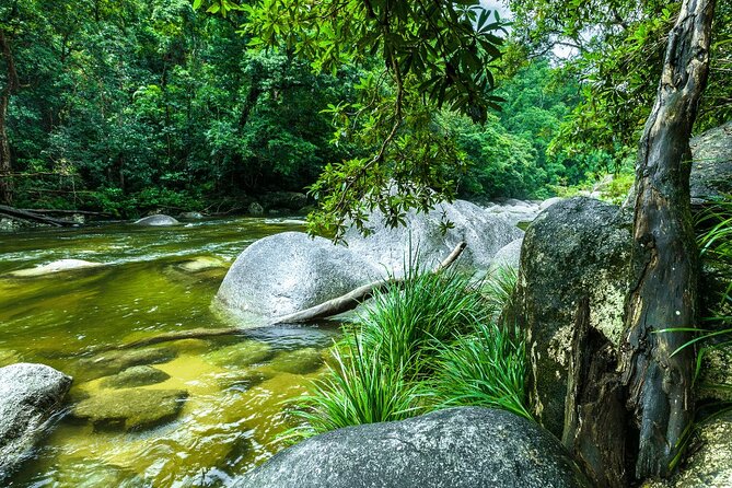Afternoon Tour Mossman Gorge & Daintree River From Port Douglas - Meeting and Pickup Information