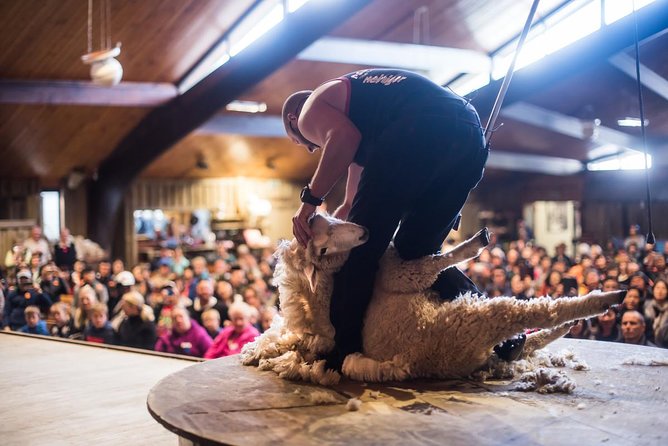 Agrodome Farm Experience Including Farm Show and Farm Tour - Rotorua - Accessibility and Capacity Information