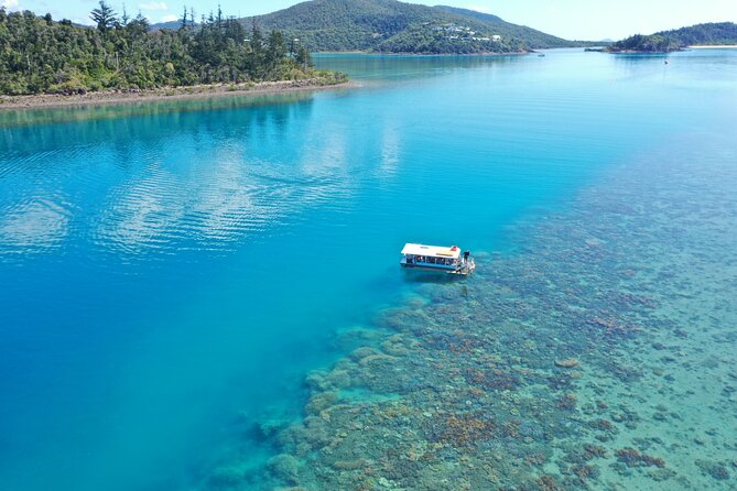 Airlie Beach Glass Bottom Boat Tour - Meeting Point Details