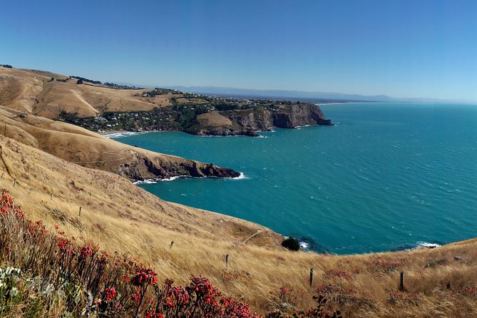 Akaroa-Christchurch Cruise Ship - Spanish Driver Guide / Chofer Guía En Español - Logistics and Planning