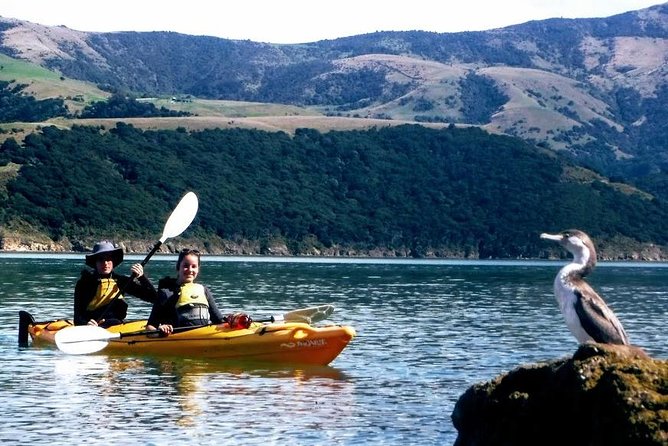 Akaroa Day Trip From Lyttelton Port - Return Shuttle Sea Kayak or Ebike Tour - Sea Kayaking Experience