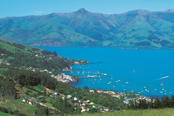 Akaroa Full Day Sightseeing Tour From Christchurch - Itinerary Highlights