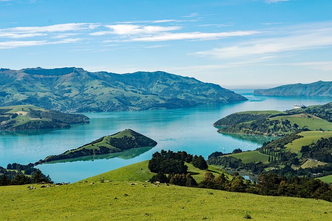 Akaroa Private Day Tour From Christchurch (Carbon Neutral) - Pricing and Inclusions