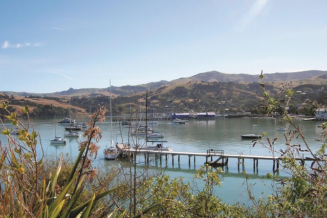 Akaroa Shore Excursion: Banks Peninsula and Christchurch City Sights Tour - Customer Feedback and Suggestions