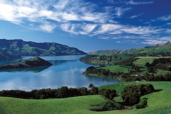 Akaroa Shore Excursion: Banks Peninsula, Christchurch City and Giants House Tour - Booking Information