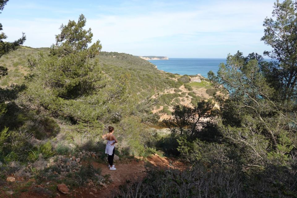 Algarve: Guided WALK in the Natural Park South Coast - Highlights