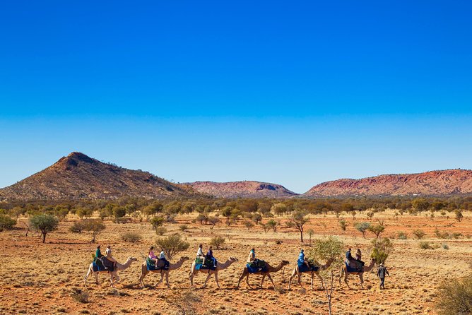 Alice Springs Camel Tour - Booking Information