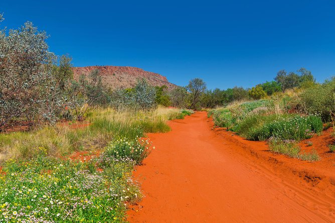 Alice Springs Desert Park General Entry Ticket - Visitor Experience Highlights