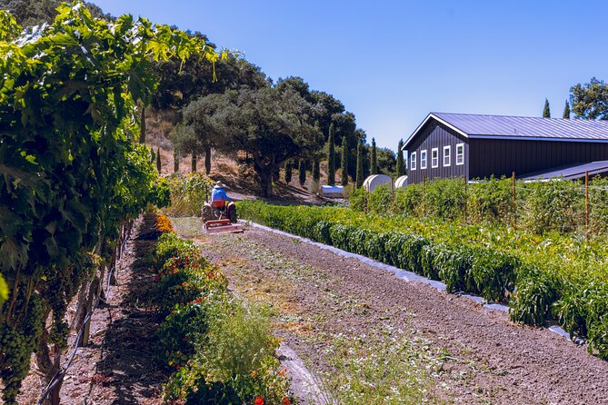 All-Inclusive Full-Day Wine Tasting Tour From Santa Barbara - Logistics