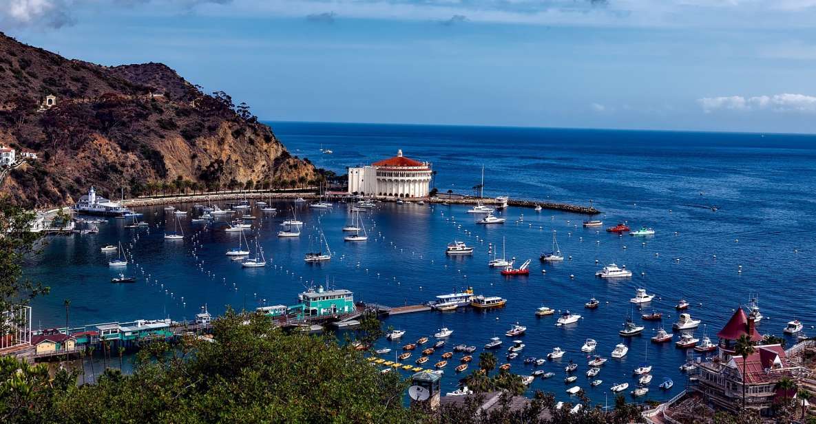All-Inclusive Guided Tour of Catalina Island From Orange Co - Experience Highlights