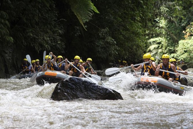 All Inclusive: Ubud River Rafting With Lunch and Transfers - Expectations and Location