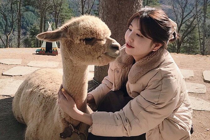 Alpaca World & Nami Island & Garden of Morning Calm One Day Tour - Tour Highlights