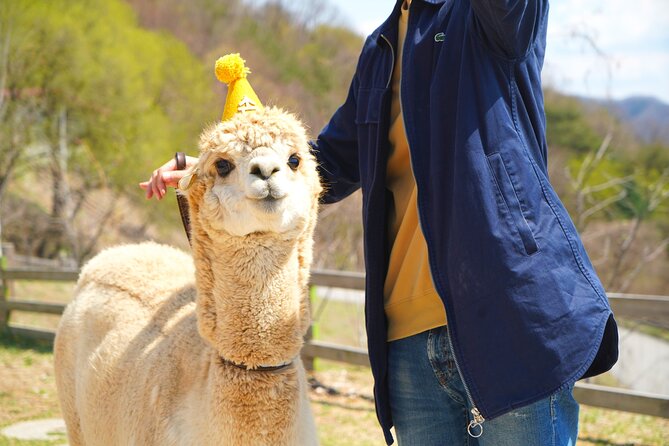 Alpaca World Tour With Nami Island & Optional Railbike or Garden - Nami Island Exploration