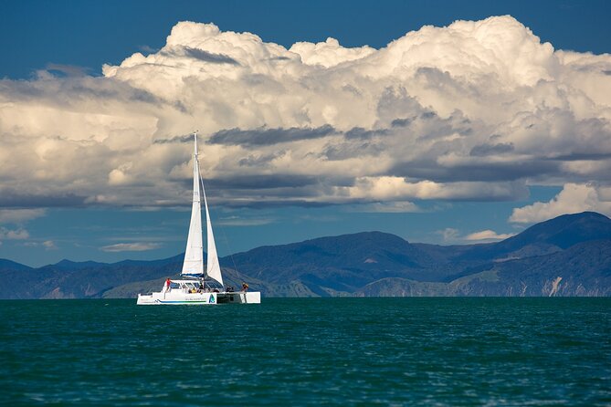 Anchorage Walk and Sail - Booking Information