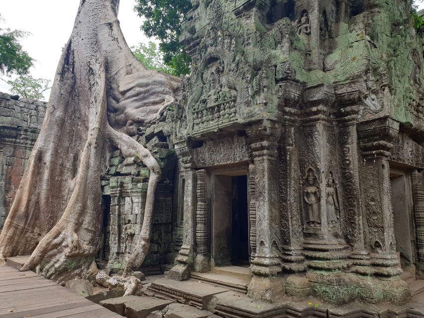 Angkor Sunrise, Taprohm and Angkor Thom. - Taprohm Temple Exploration