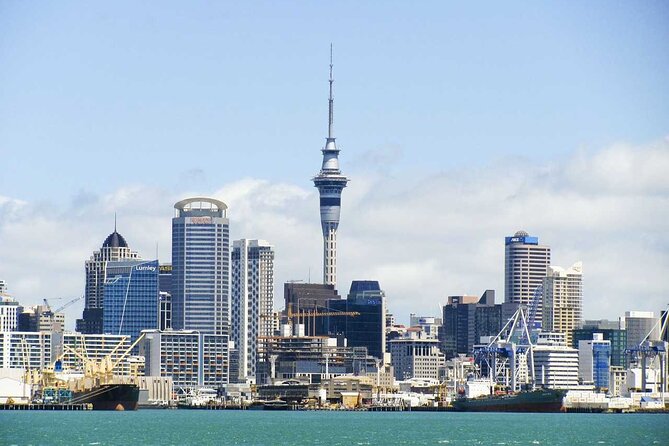 Arrival Private Transfer From Auckland Airport AKL to Auckland in Luxury Van - Booking Information