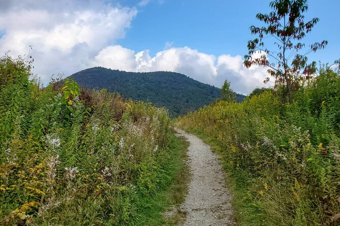 Asheville: Private Half-Day Hike - Reviews and Feedback